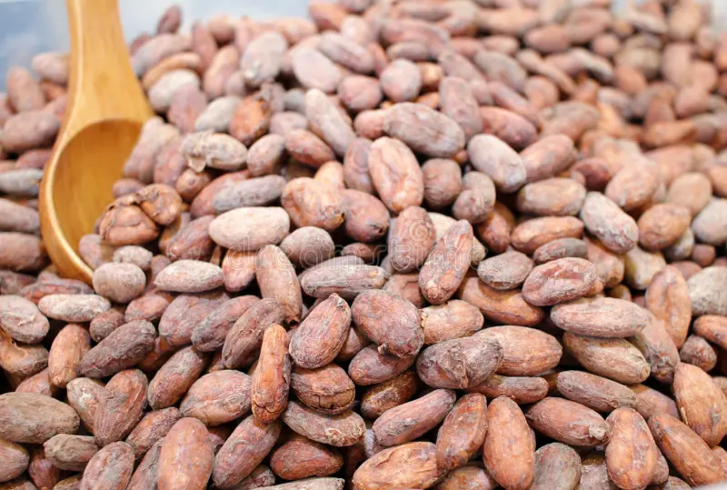 生産者との直接的な繋がりとサステナブルな取り組み