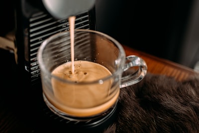 猫カフェを利用する際の手順と注意点