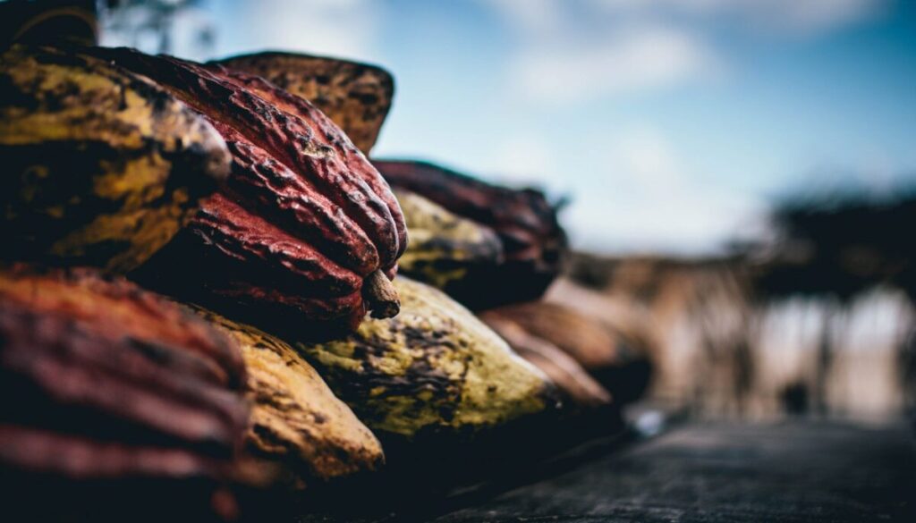 なぜチョコレートにフェアトレードが必要なのか