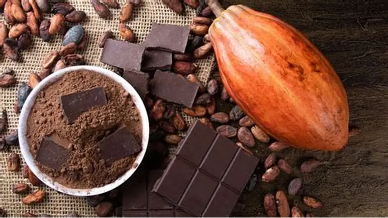 カカオの起源は5000年以上前