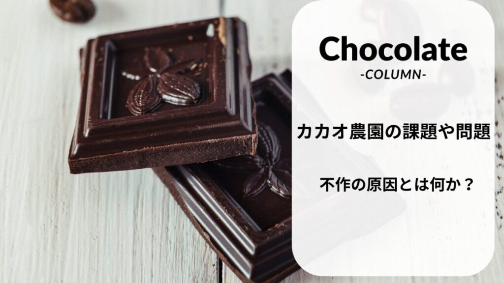 カカオ農園の課題や問題|不作の原因とは何か？