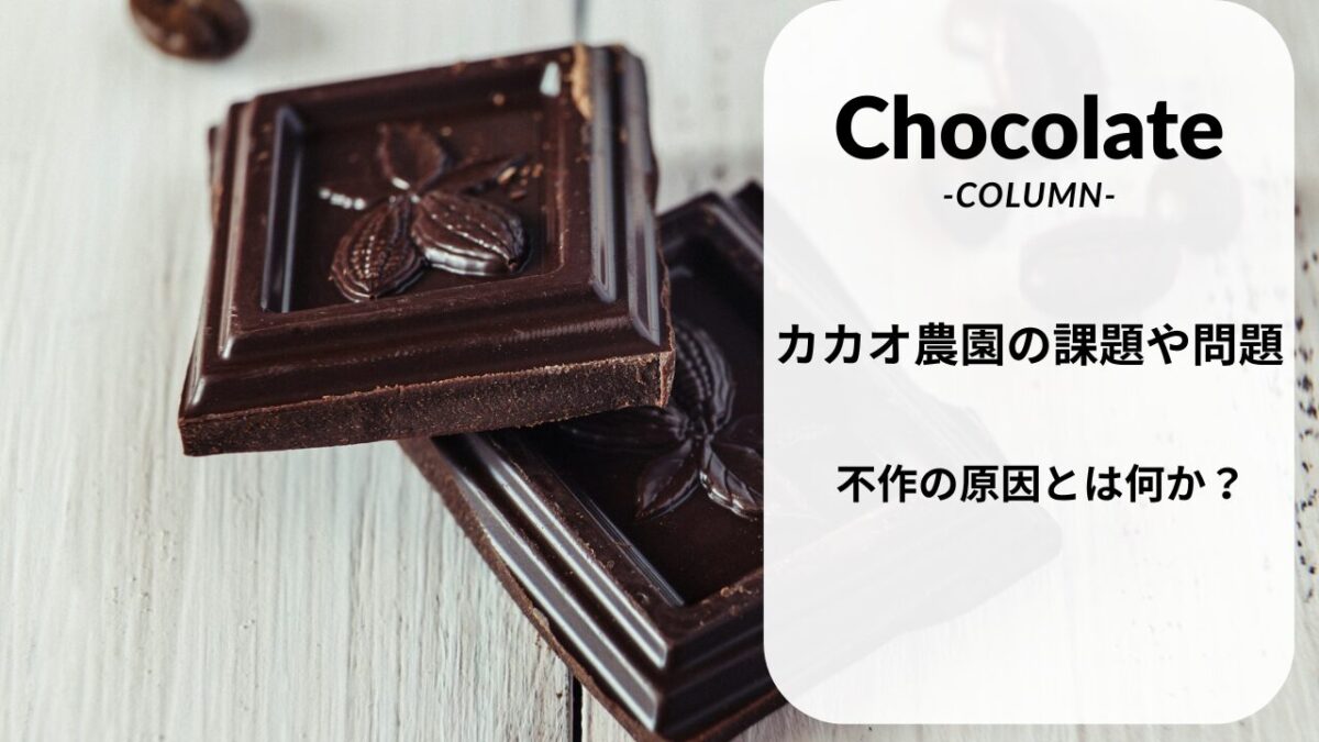 カカオ農園の課題や問題|不作の原因とは何か？